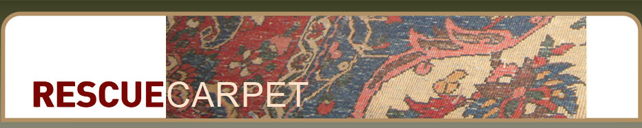 Advice on How to Clean Carpets Properly