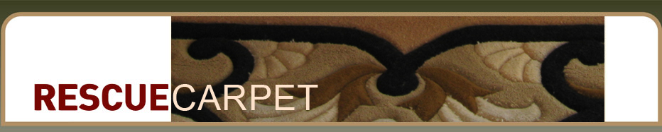 Johannesburg Carpet Cleaners