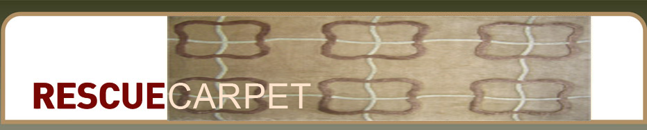 Persian Rugs - Hand Made Imported Rugs